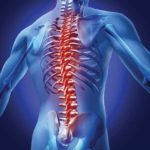 cervical spine, spinal conditions, lumbar spine, laminectomy, discectomy