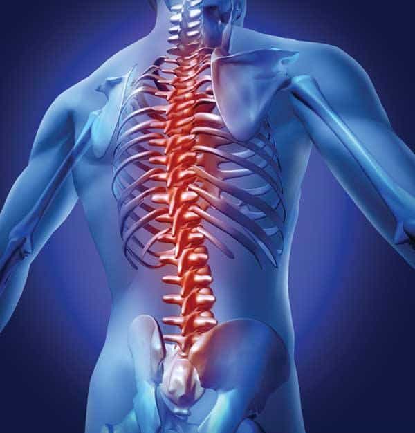 cervical spine, spinal conditions, lumbar spine, laminectomy, discectomy