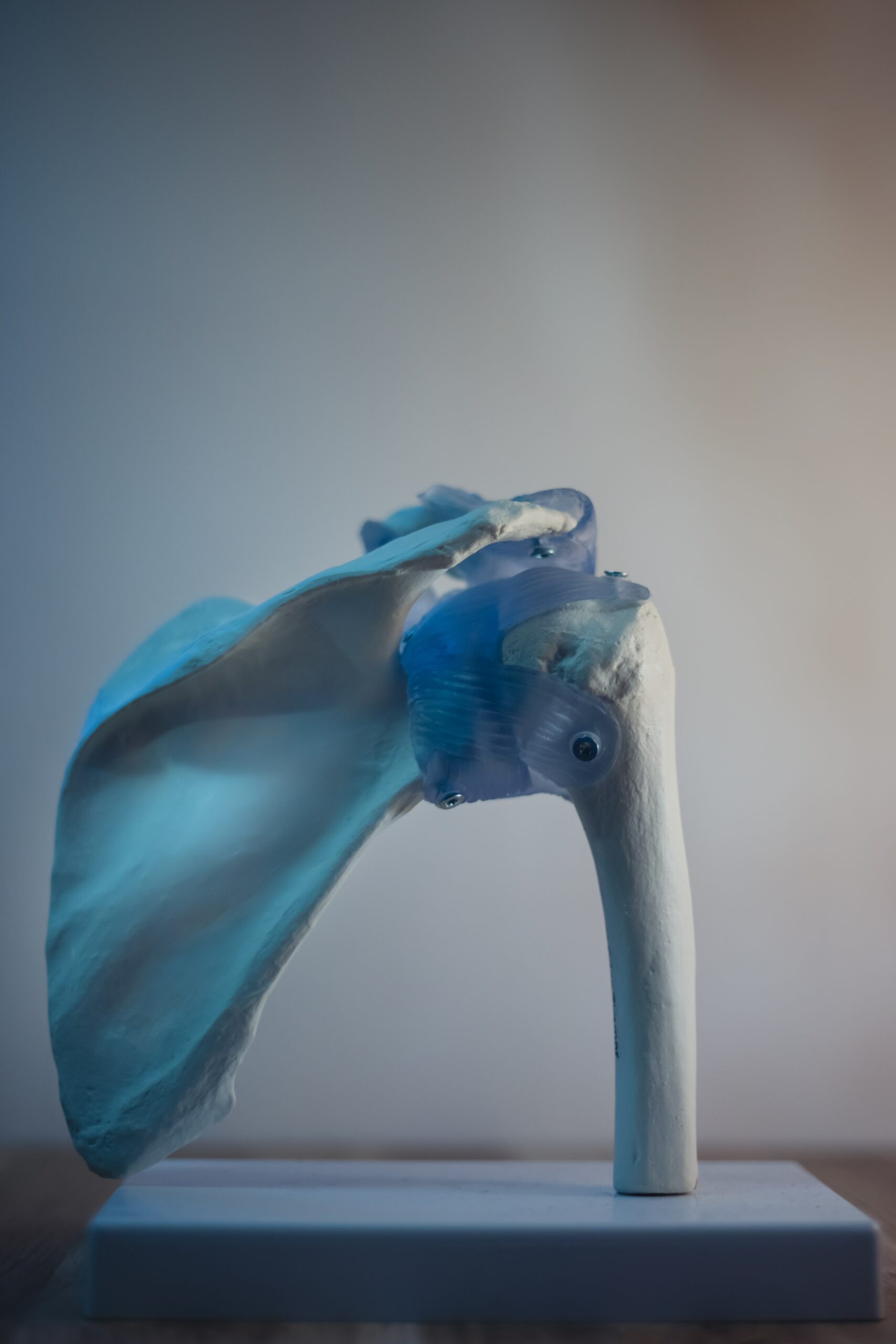 otto norin LOjSG0908go unsplash scaled